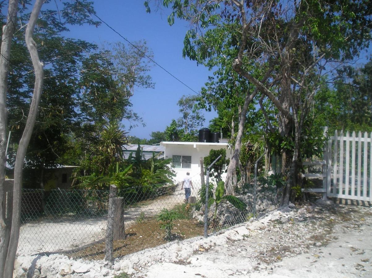 Moves Rasta Cottage Negril Exterior photo